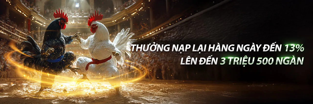 Sân đấu đá gà trực tuyến 77win1